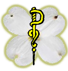 SyringaSBH